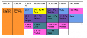 nursing-student-schedule